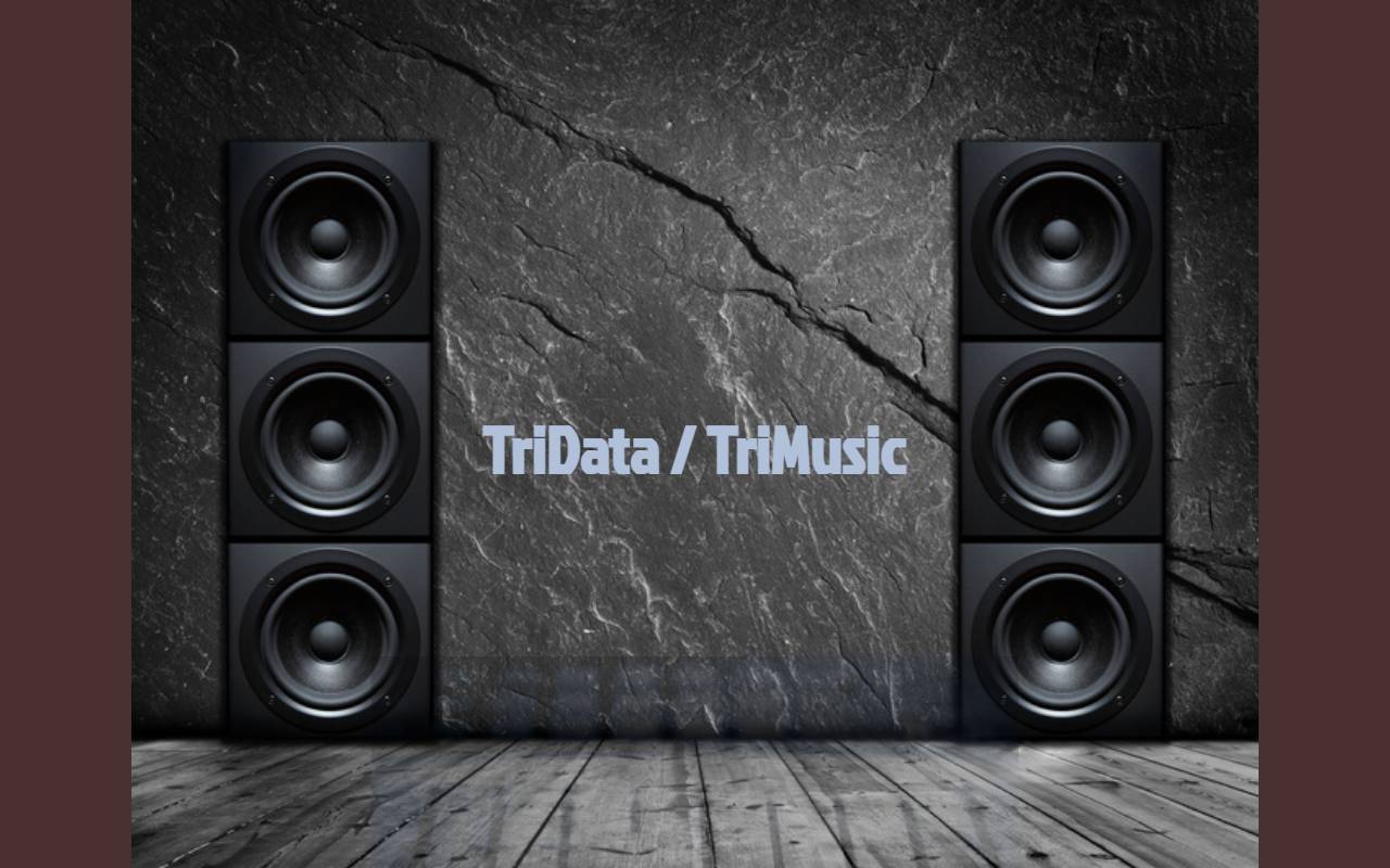 Anteprima del sito: Tridata SA