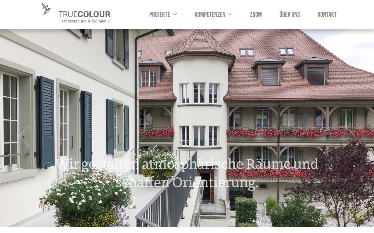 Anteprima del sito: TRUE COLOR Sagl