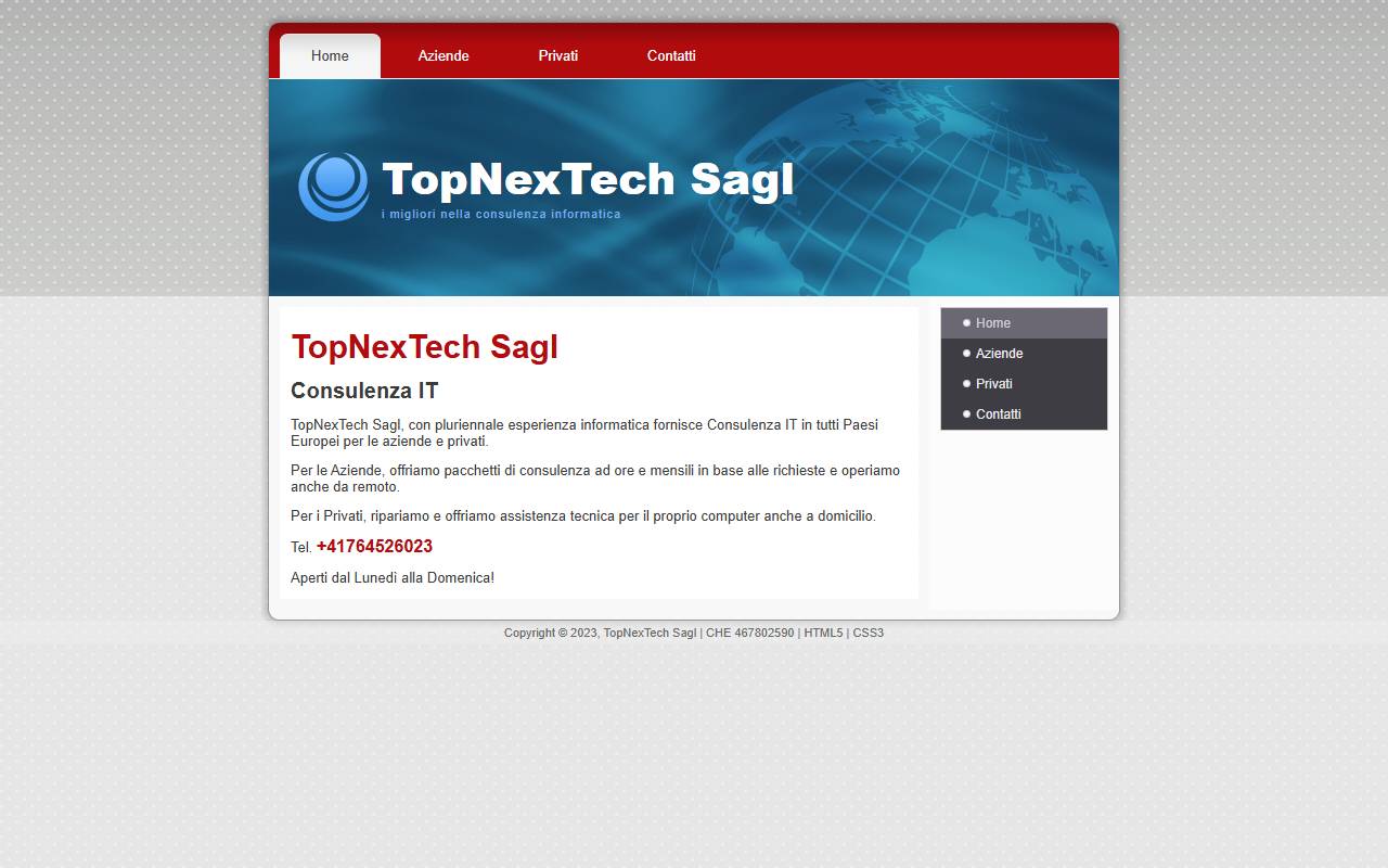 Anteprima del sito: TopNexTech Sagl