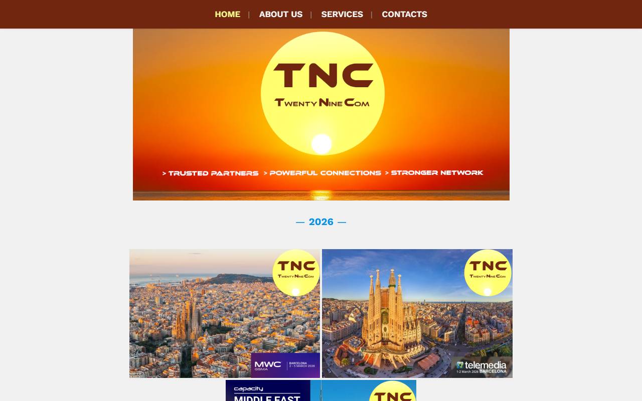 Anteprima del sito: Twenty-Nine Com SA