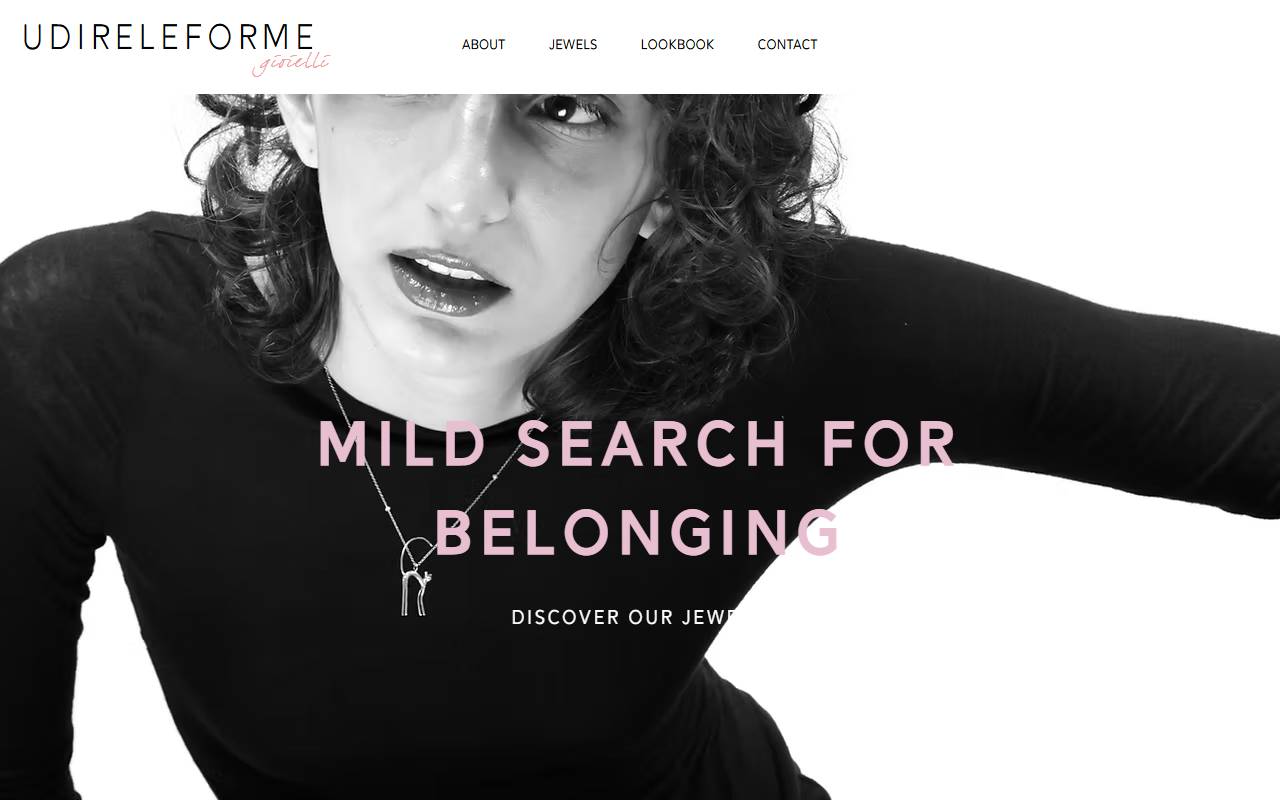 Anteprima del sito: UDIRELEFORME Sagl