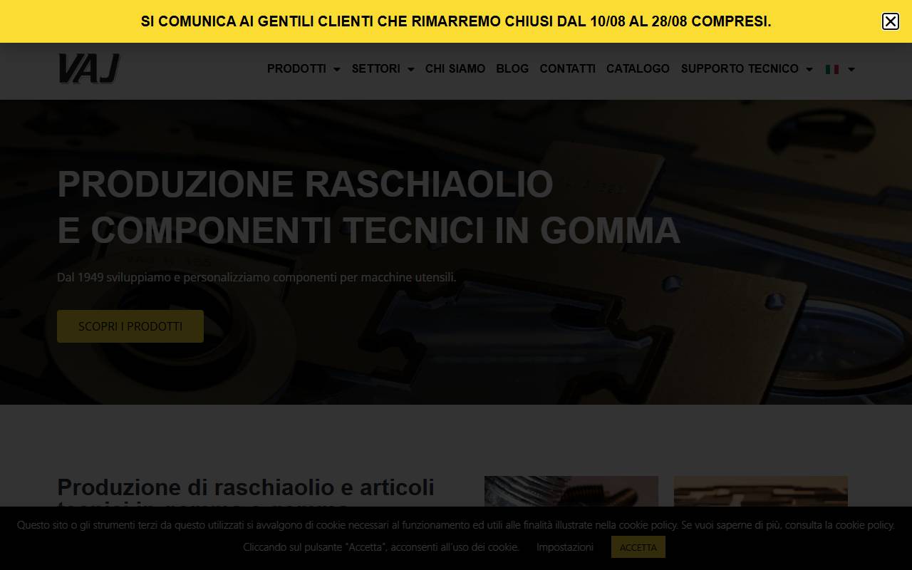 Anteprima del sito: VAJ ERNESTO E C. S.R.L., Varese, Succursale di Mendrisio