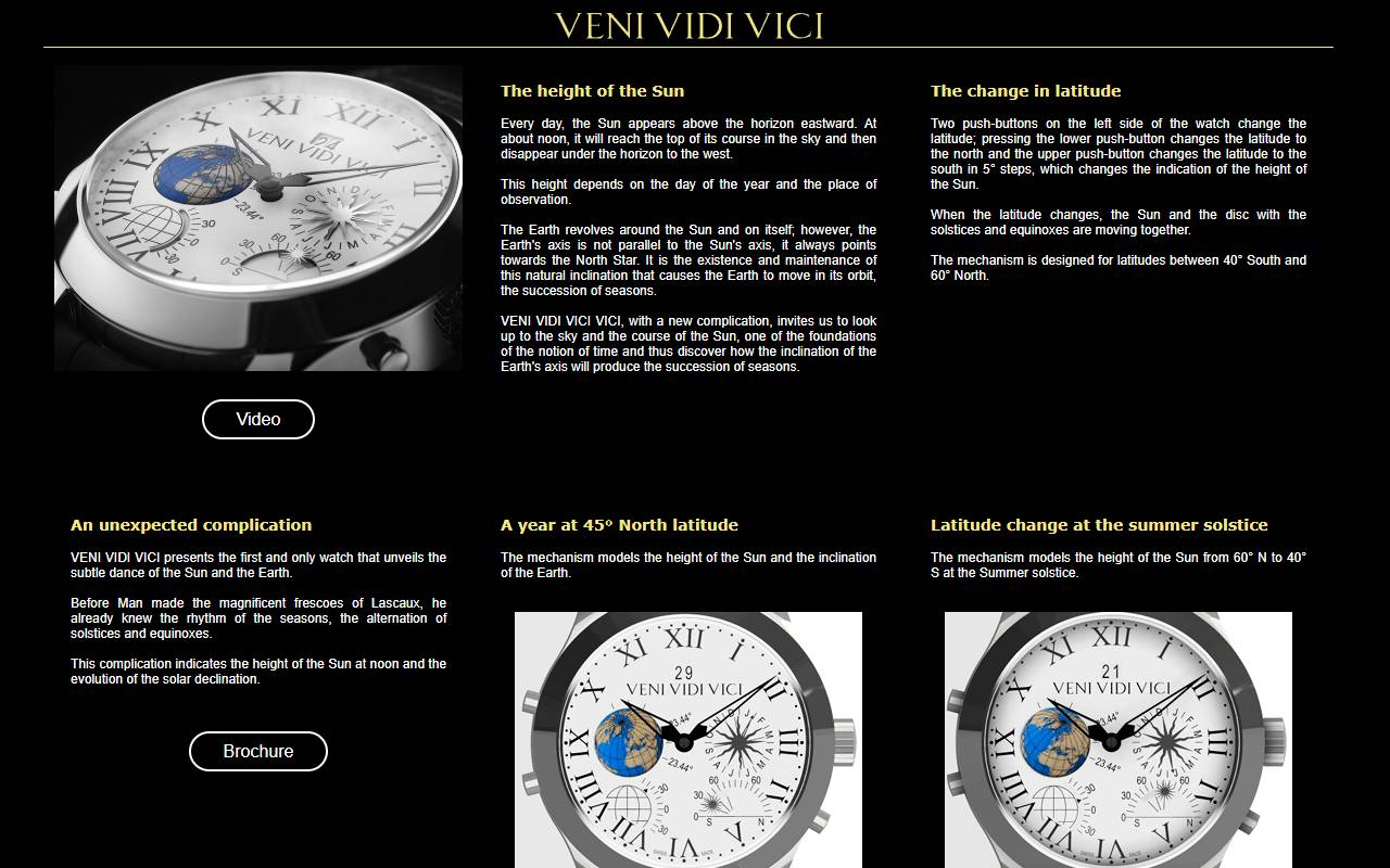 Anteprima del sito: VENI VIDI VICI SAGL