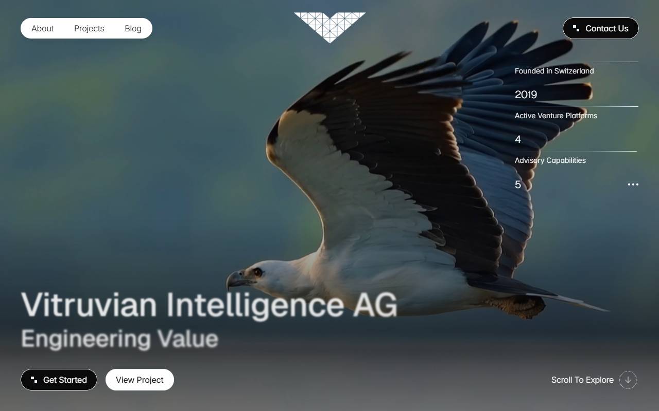 Anteprima del sito: Vitruvian Intelligence AG