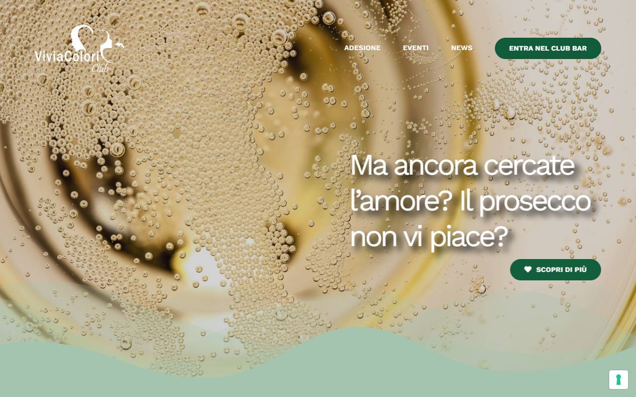 Anteprima del sito: VIVIACOLORI SAGL