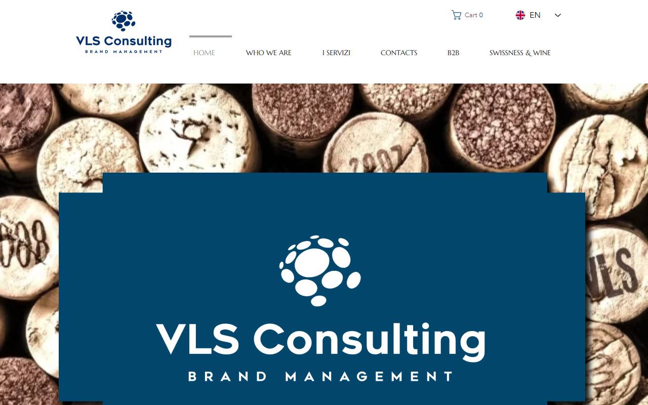Anteprima del sito: VLS Consulting Sagl