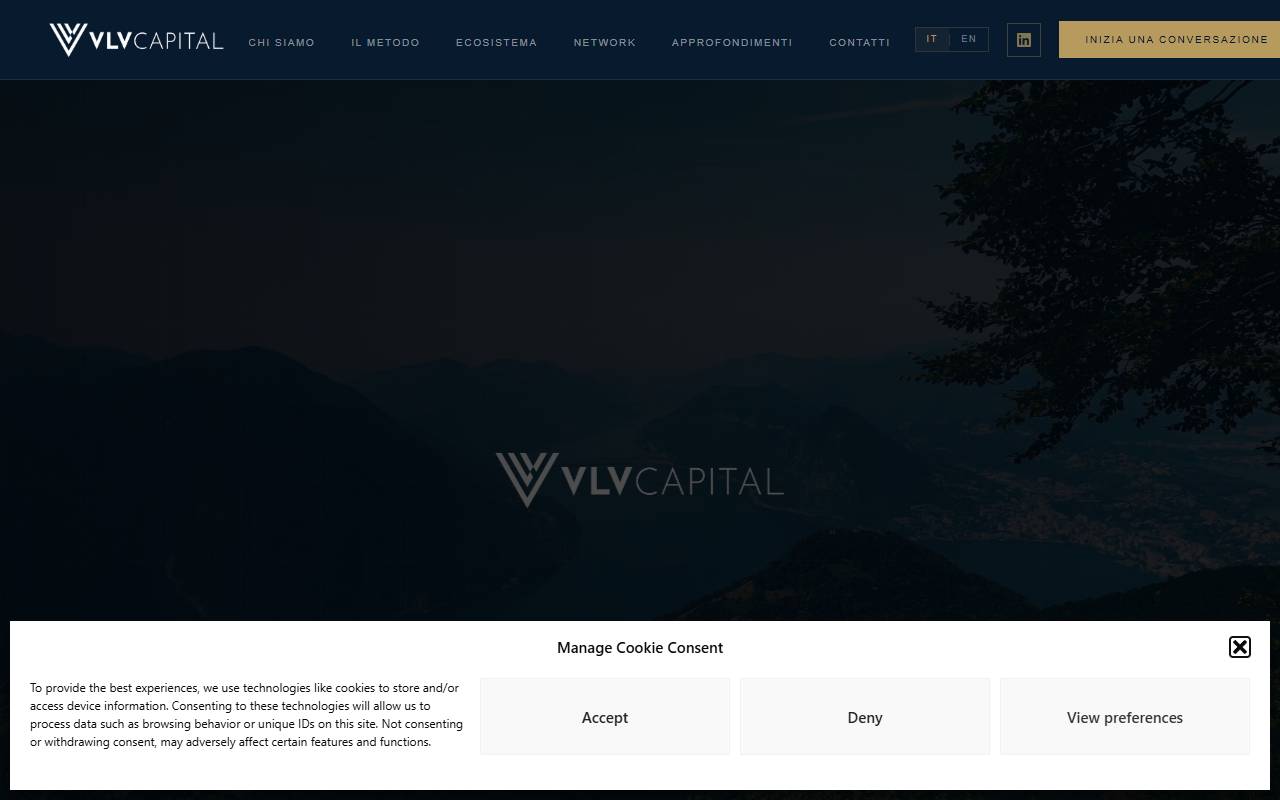 Anteprima del sito: VLV Capital Sagl