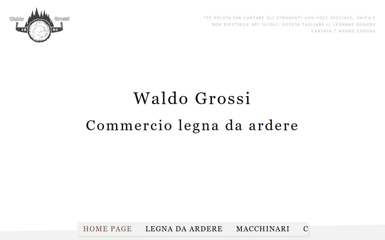 Anteprima del sito: Waldo Grossi