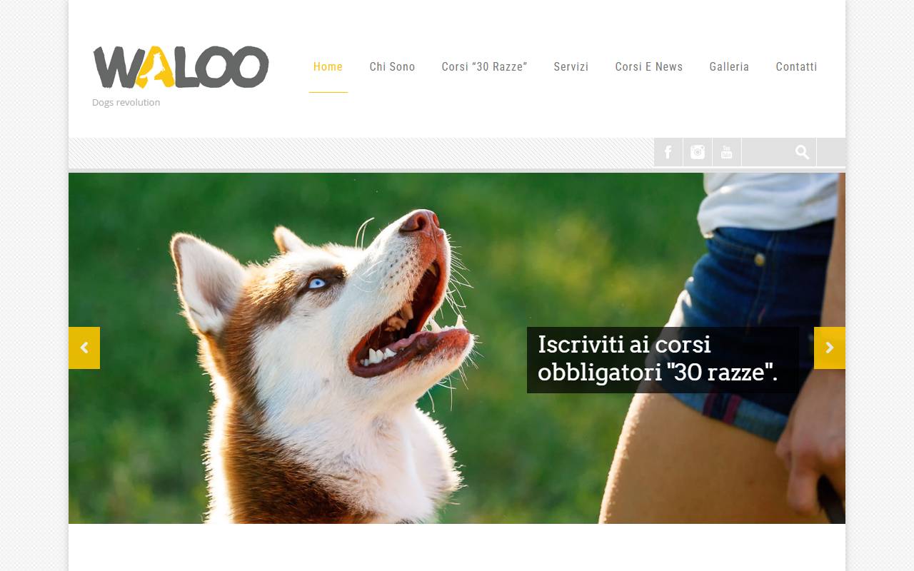 Anteprima del sito: Waloo di Eleonora Lepore