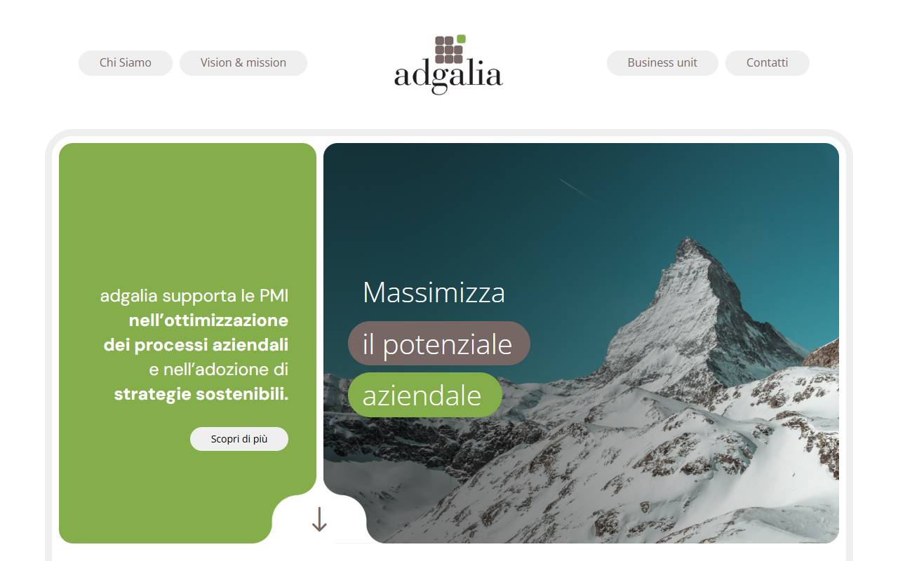 Anteprima del sito: Wipaco Consulting Sagl