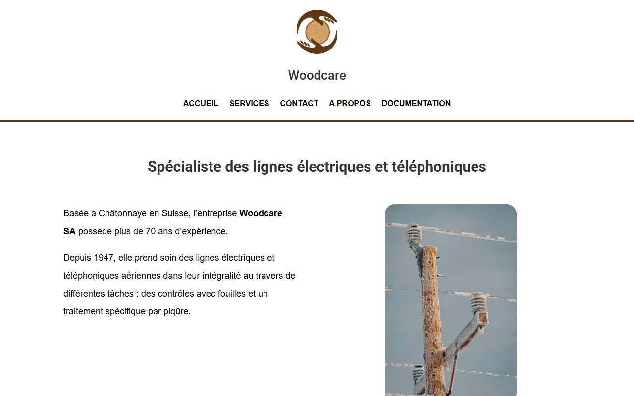 Anteprima del sito: WOODCARE SA, Succursale di Lugano