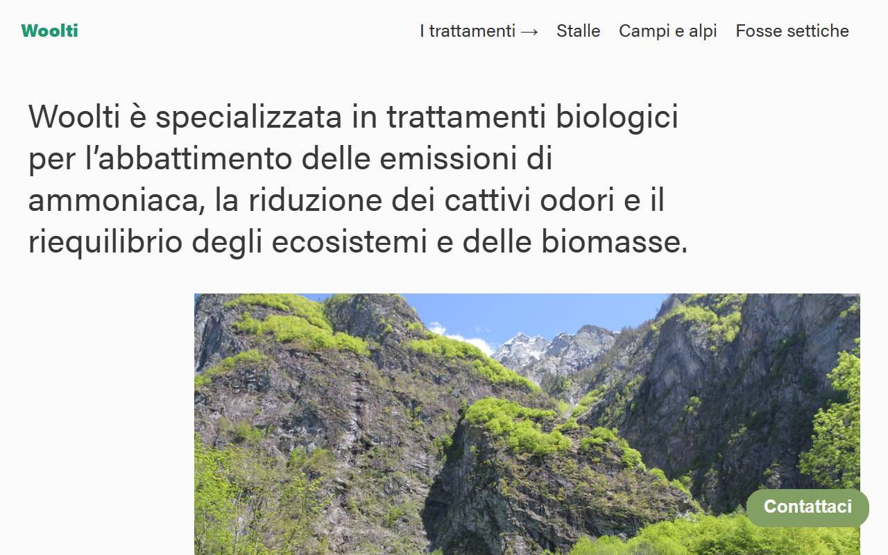 Anteprima del sito: WOOLTI Sagl