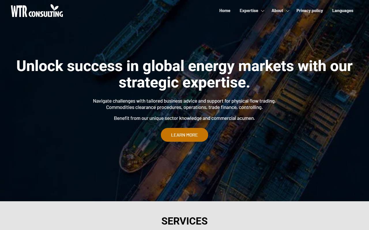 Anteprima del sito: WTR Consulting Sagl