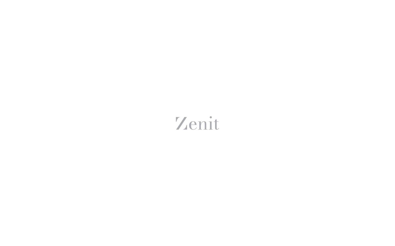 Anteprima del sito: Zenit Real Estate Sagl