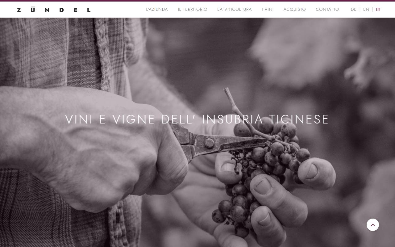 Anteprima del sito: Zündel Azienda Agricola SA